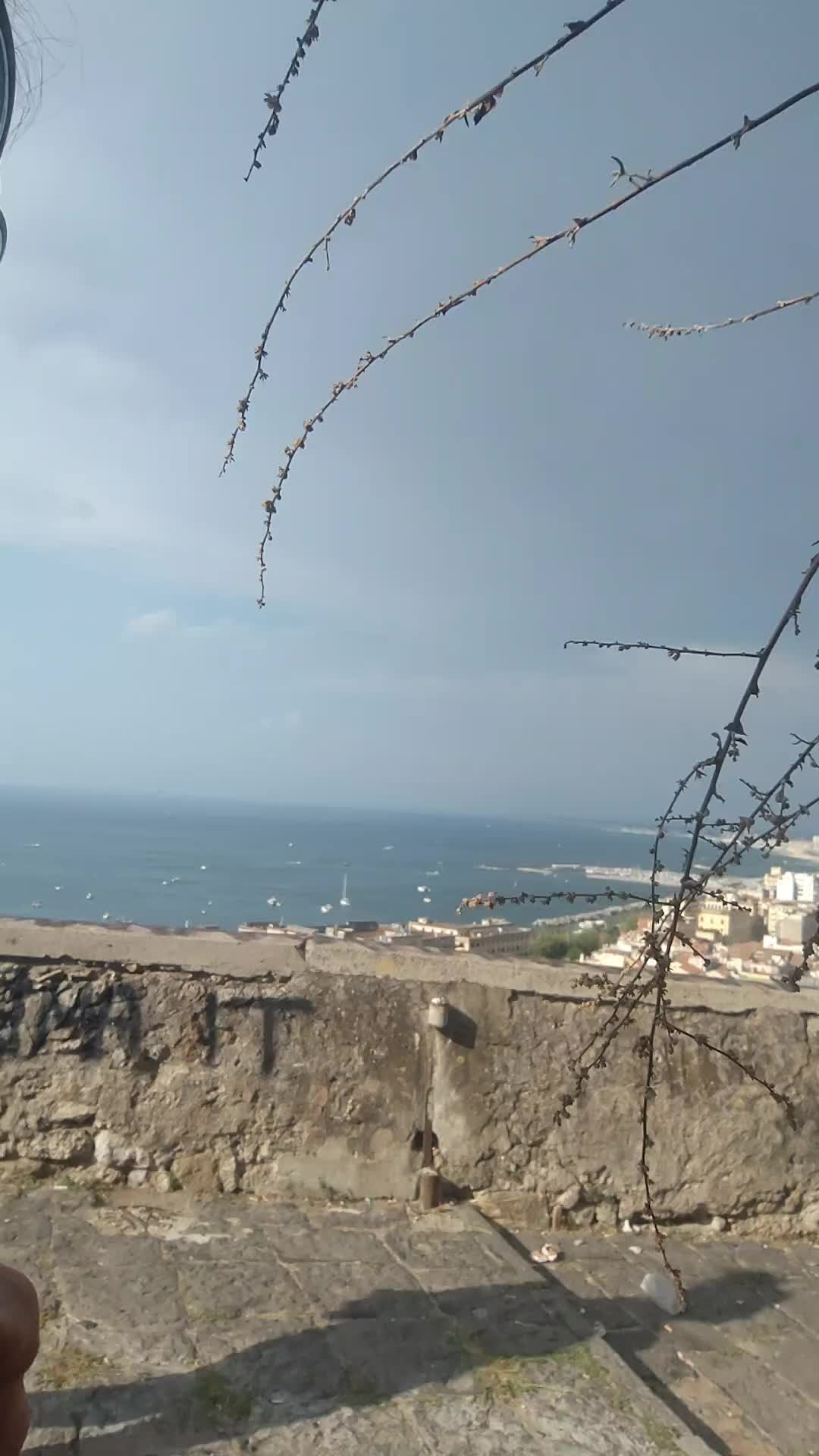 @FUEGOSSELVAGGIATYSON