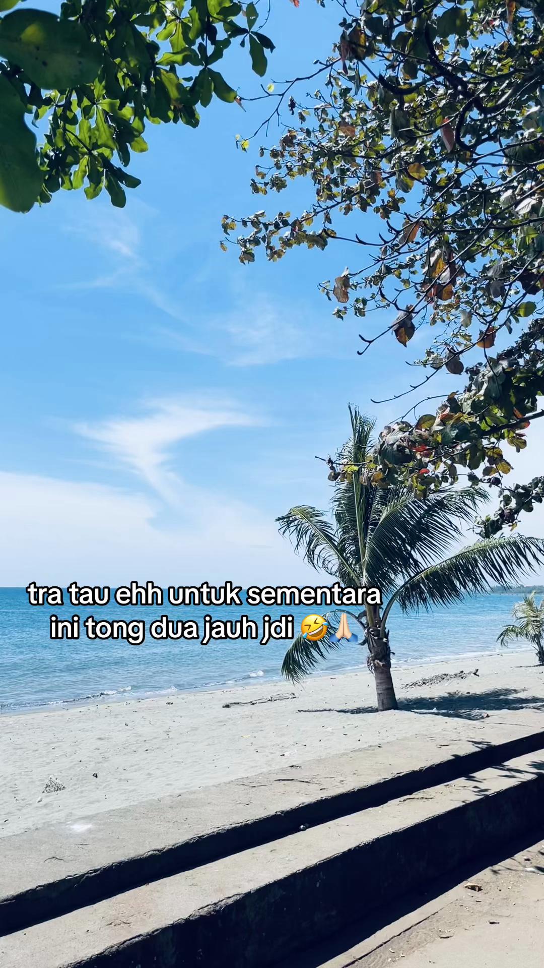 @faldy