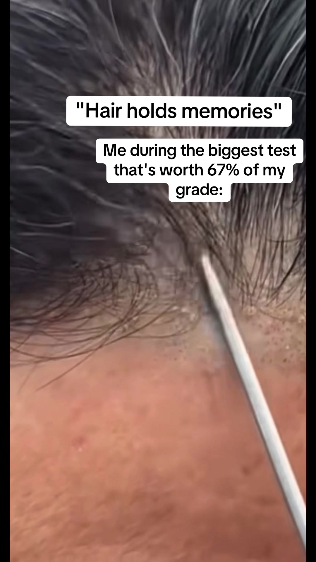 @&real;𝔪𝔰