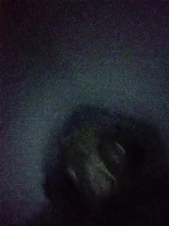 @каяк