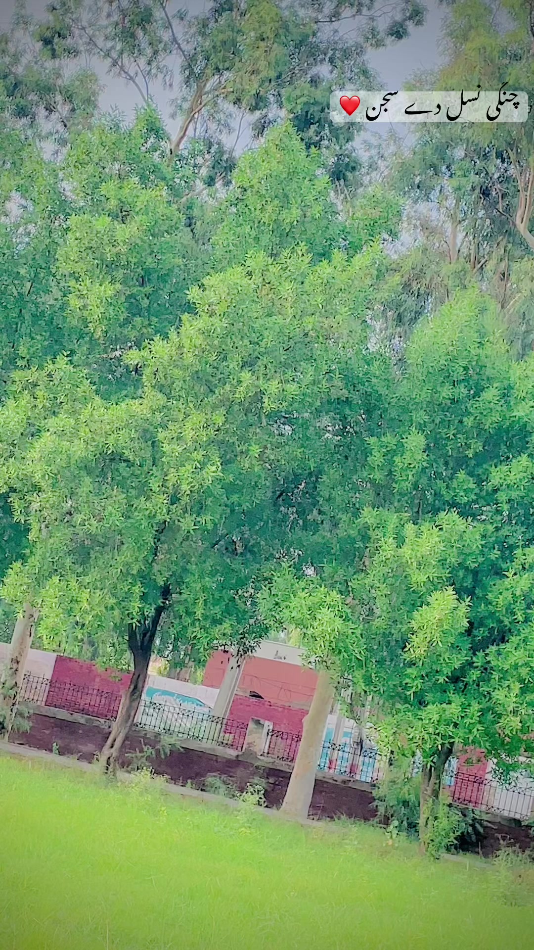 @༆🇦 🇹 🇮 🇫 🇷 🇦 🇦 🇿 ★