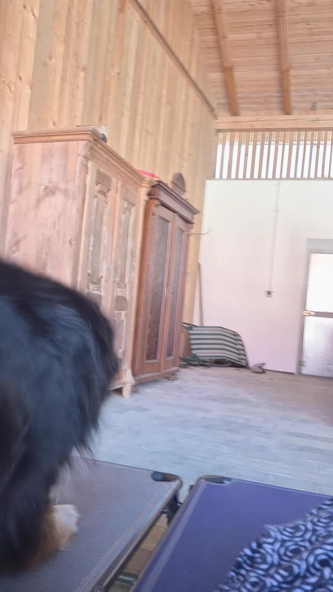 @berner.bruno