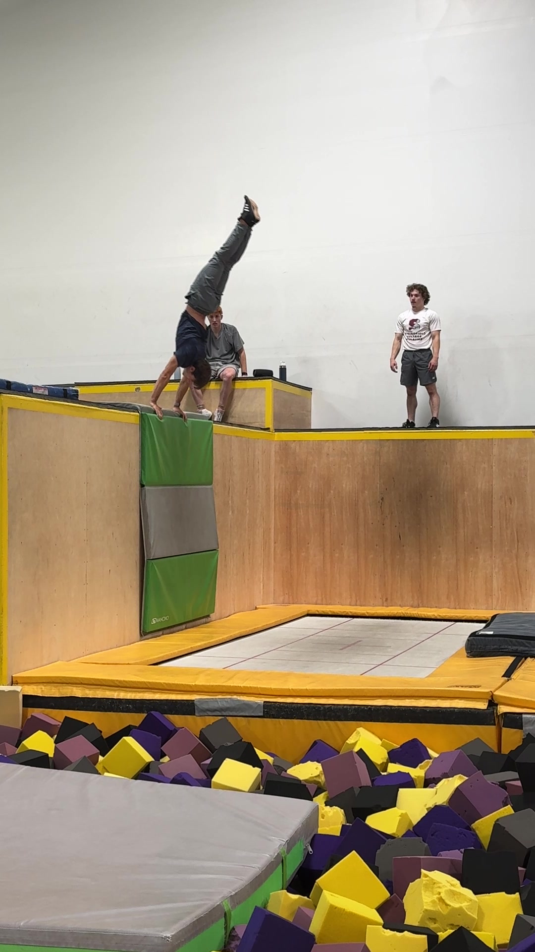 @robert noll