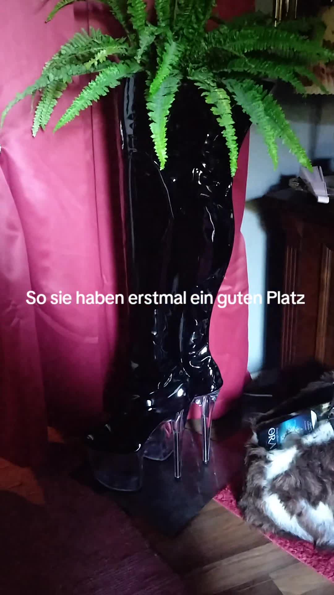 @Stephan Krajczewski