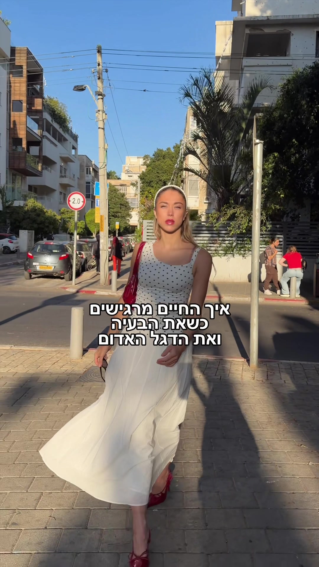 @מישל המלכה