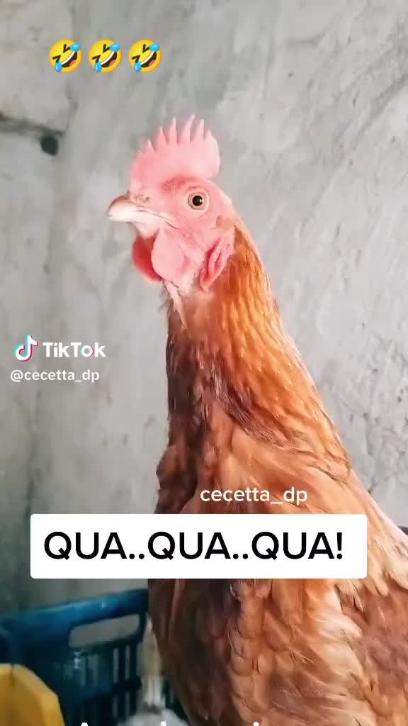 @Carmela Rizzieri