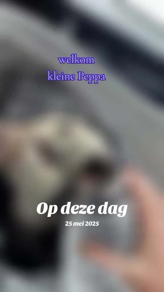 @christinavanspauw