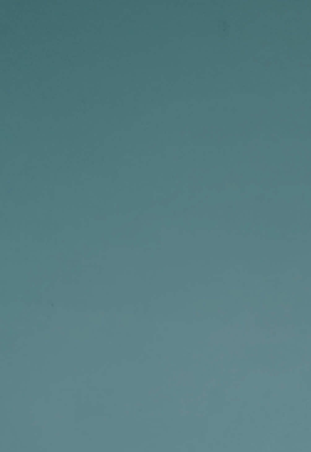 @𝑽𝒀𝑵𝑪𝑬