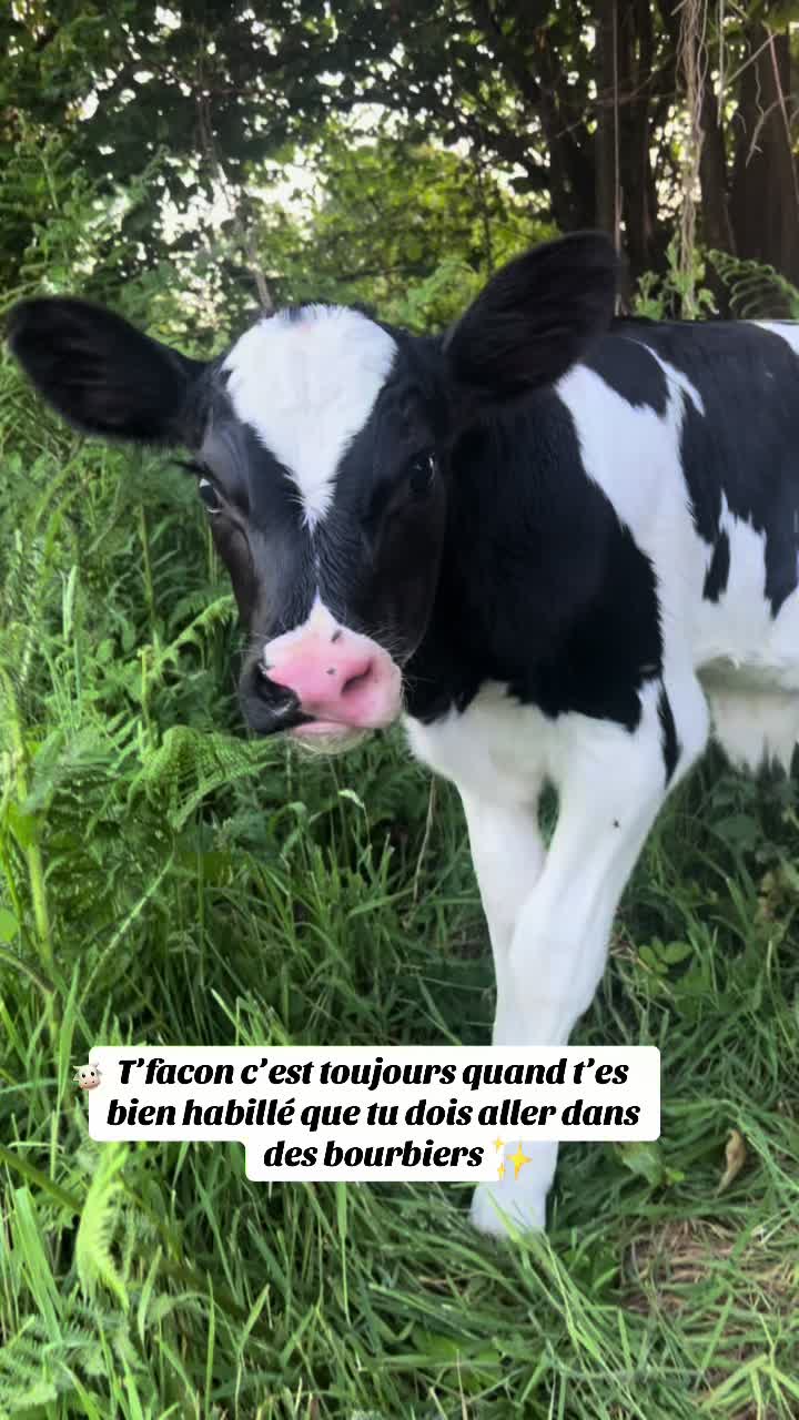 @eloise_rfr