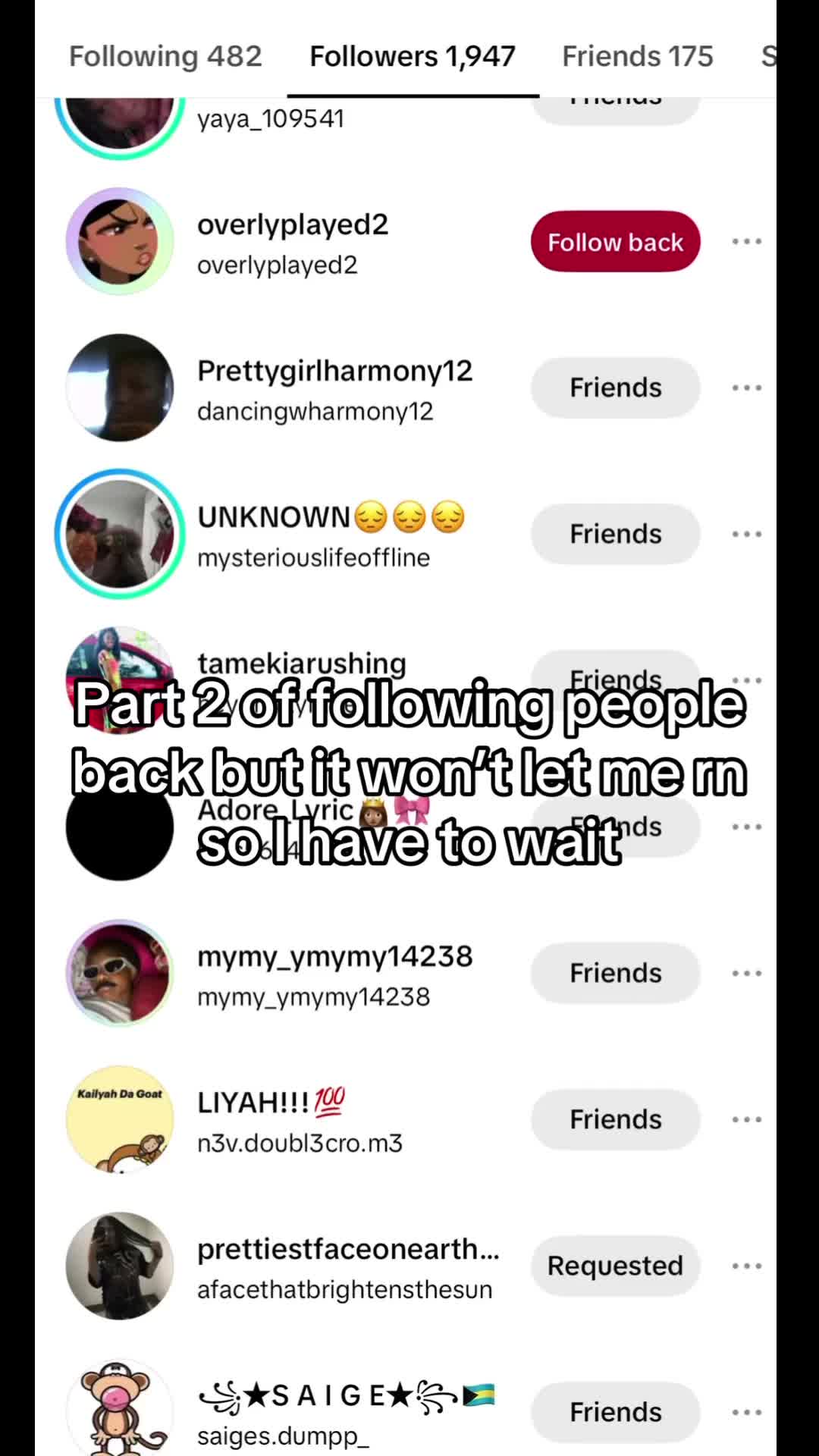 @ɪɴғᴜʟᴄᴇʀᴄʟɪᴘs𓆩♡𓆪⋆🐾°