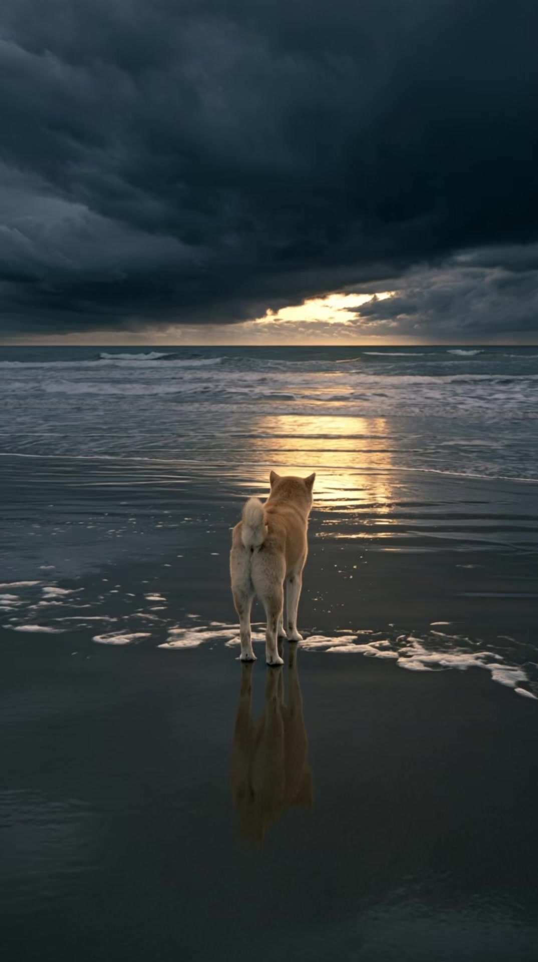 @DreamDogs-AI