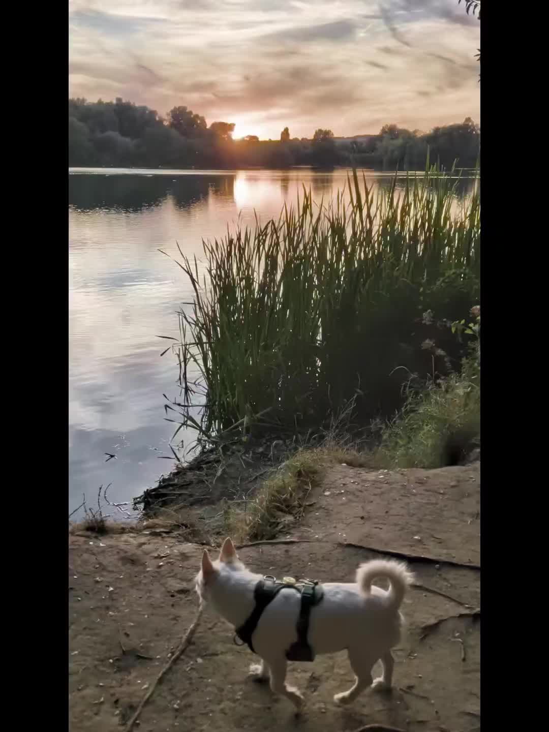 @Kanyakorn Kiki