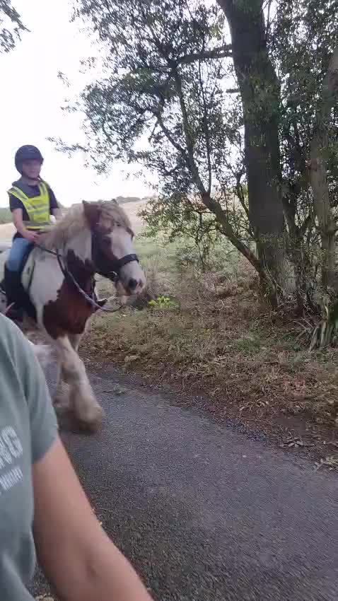 @🐎🩷Alexa and bobby 🩷🐴