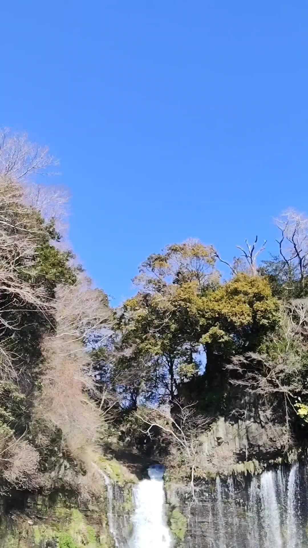 @おみちシンプル🐦