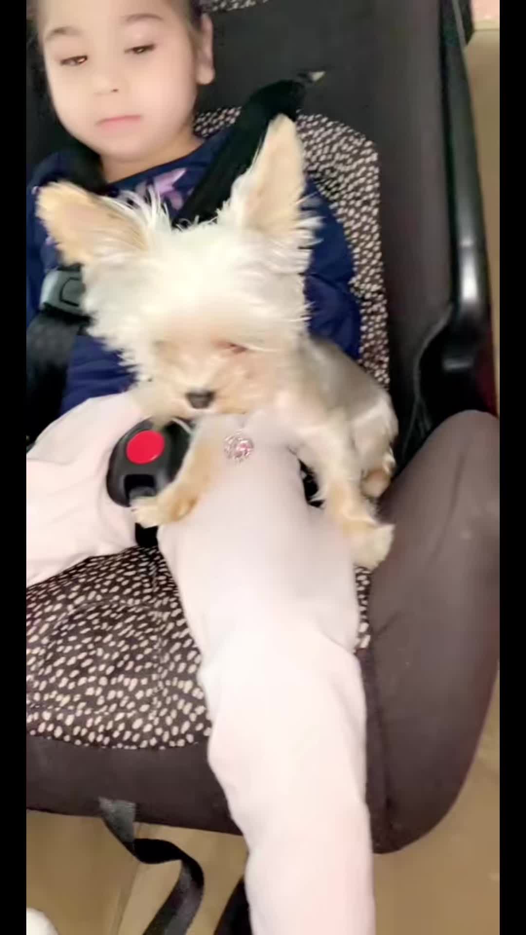 @Millie Acosta (Vargas)