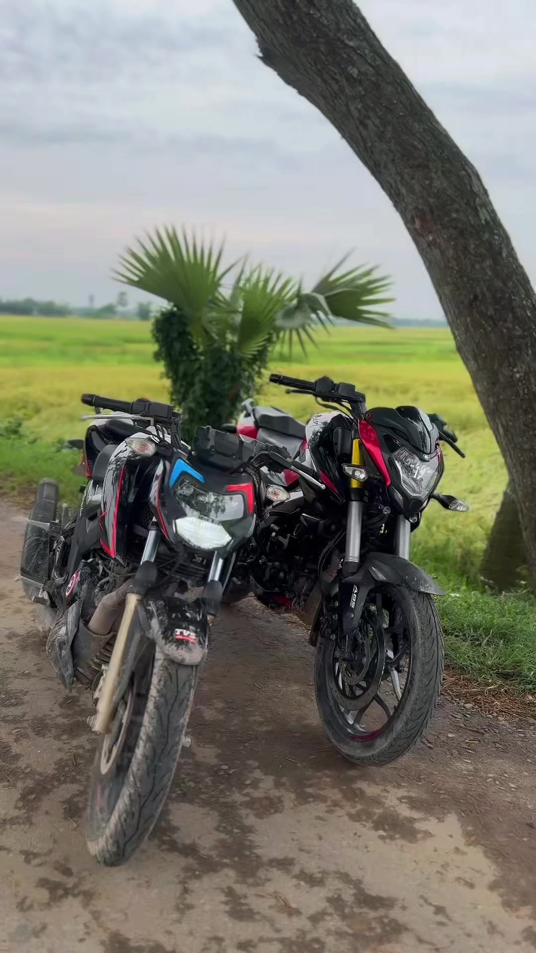 @It&rsquo;s Bikebuzz