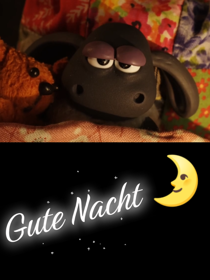 @zahnzaubermaeuschen
