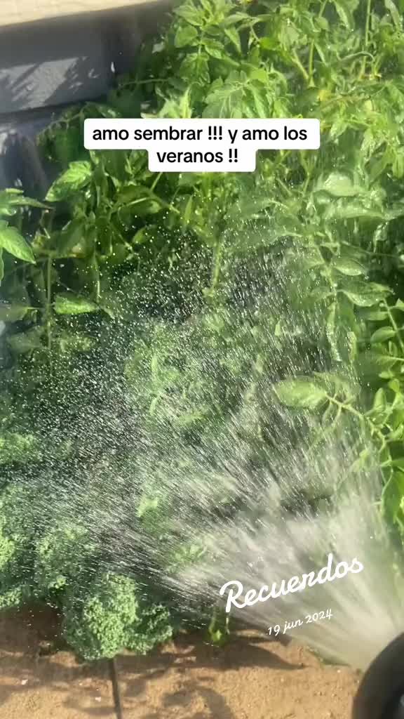 @Margarita Valdez