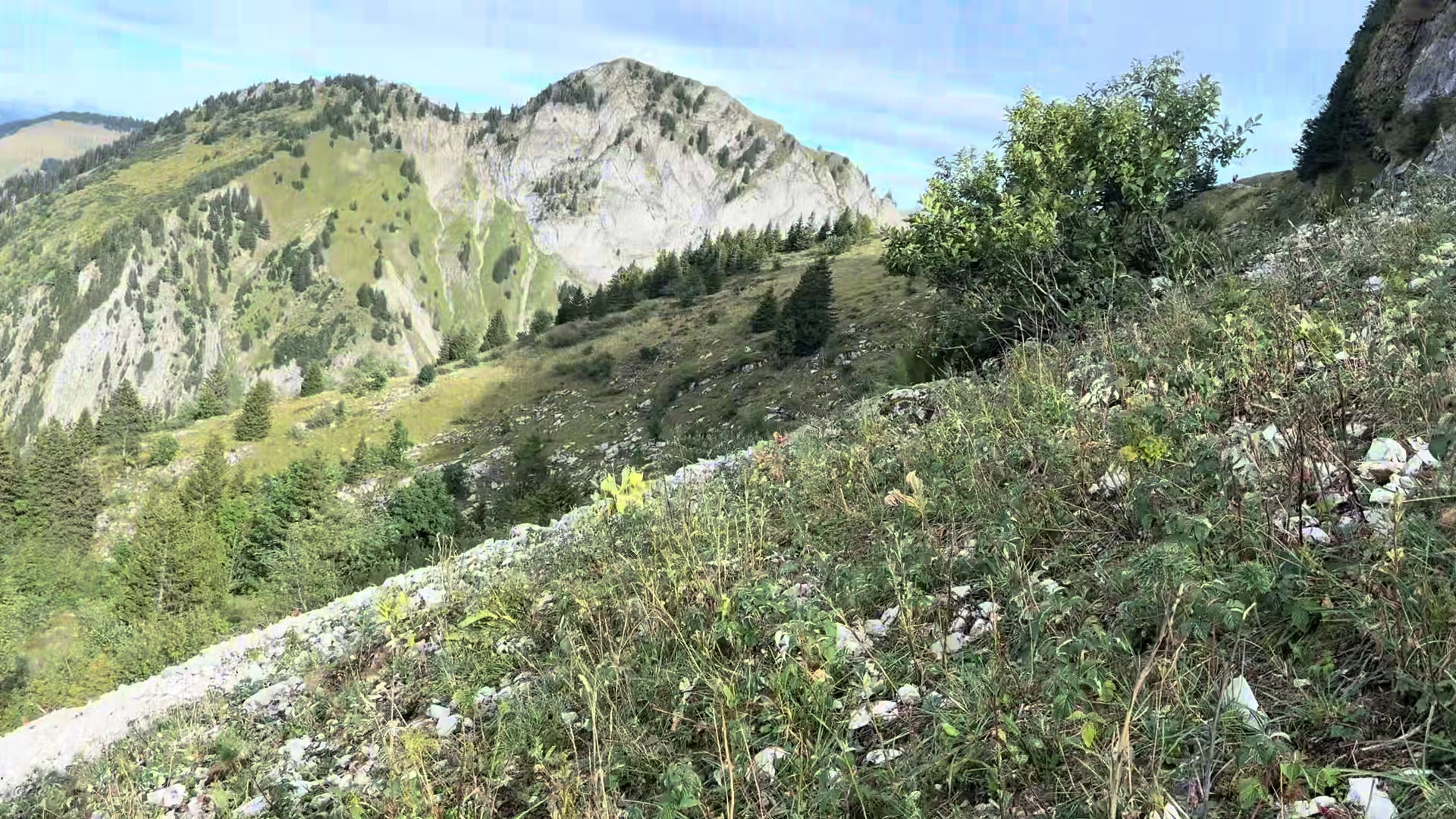@Schyzo Swiss
