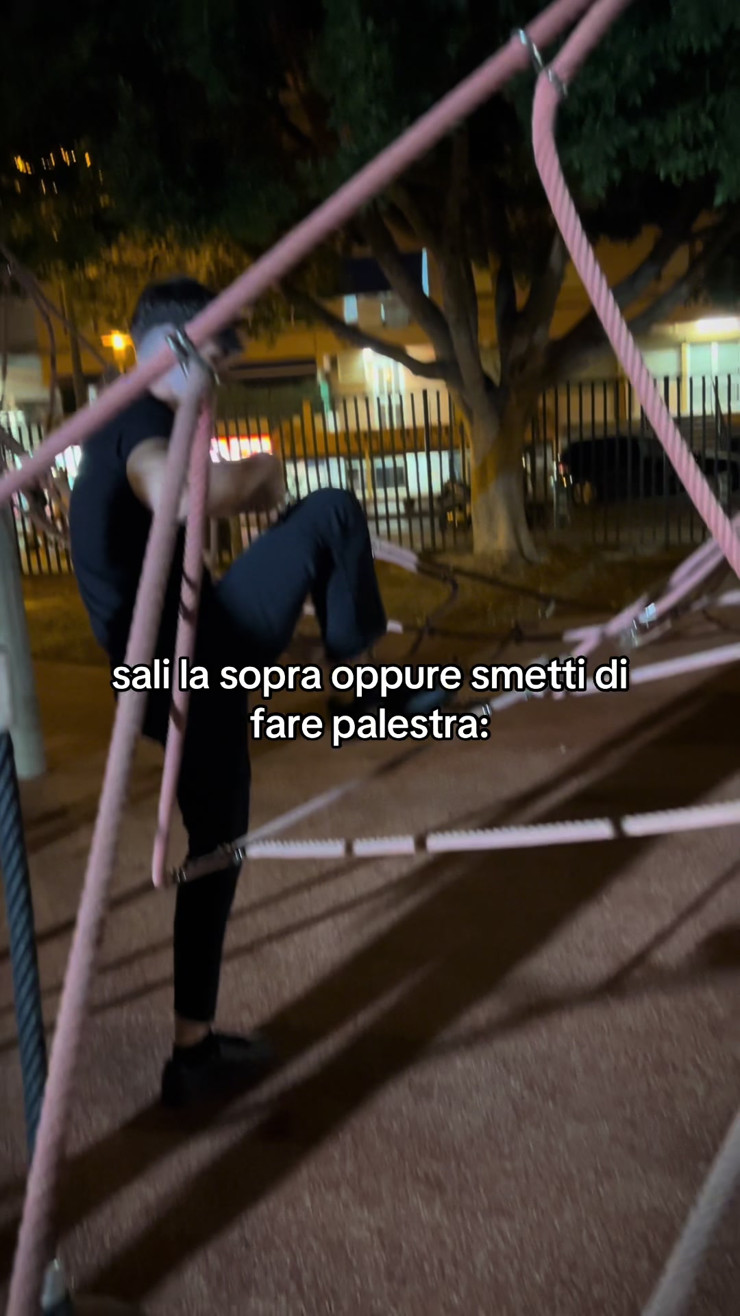 @Nicholas Ippoliti