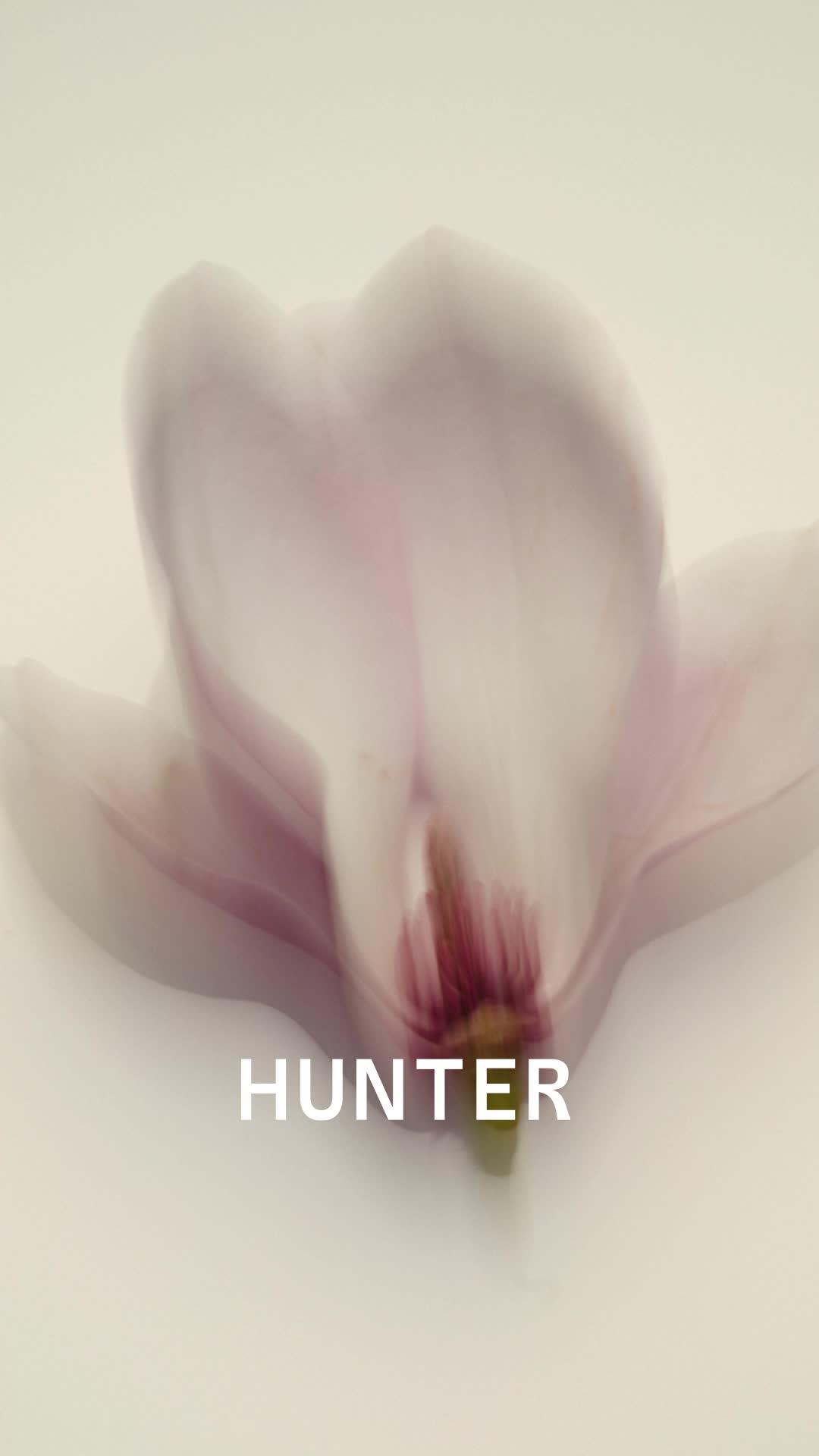 @Hunter Candles