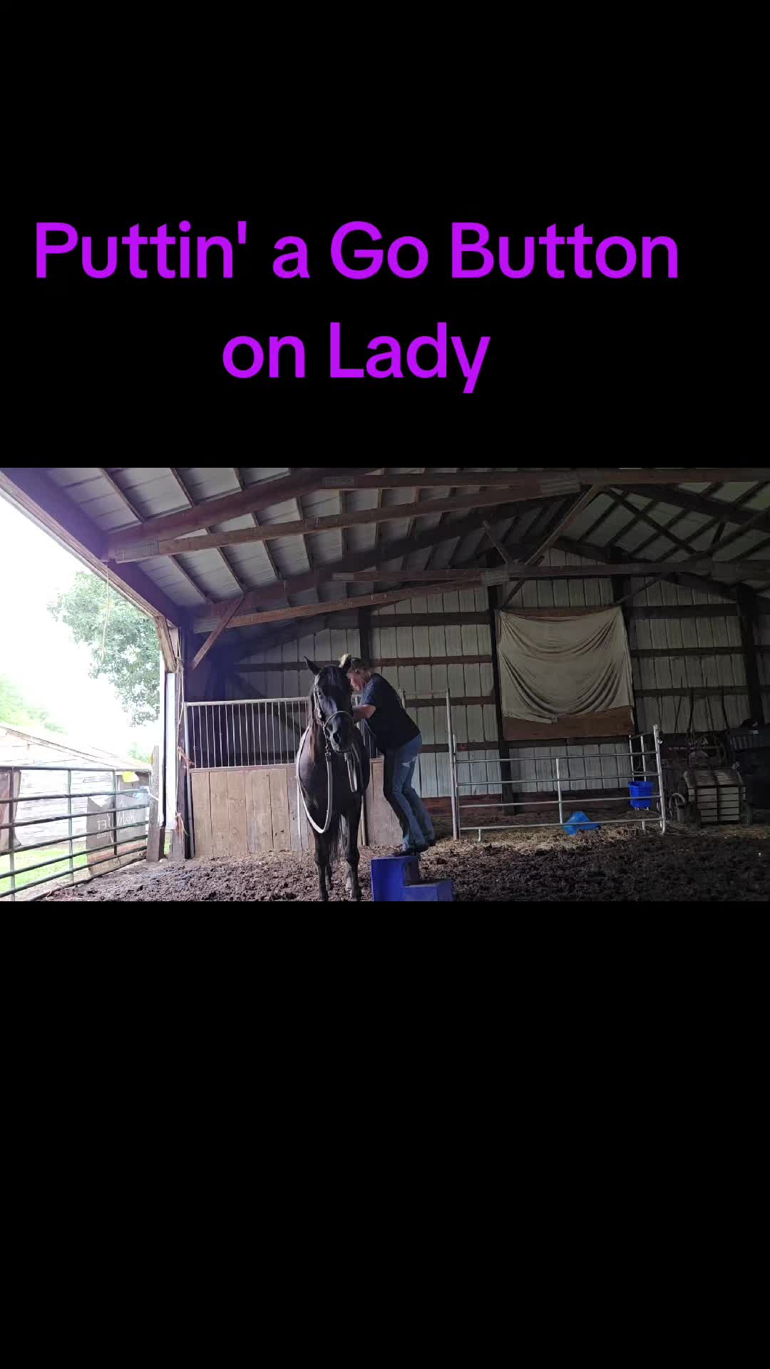 @Small Town Farm LLC