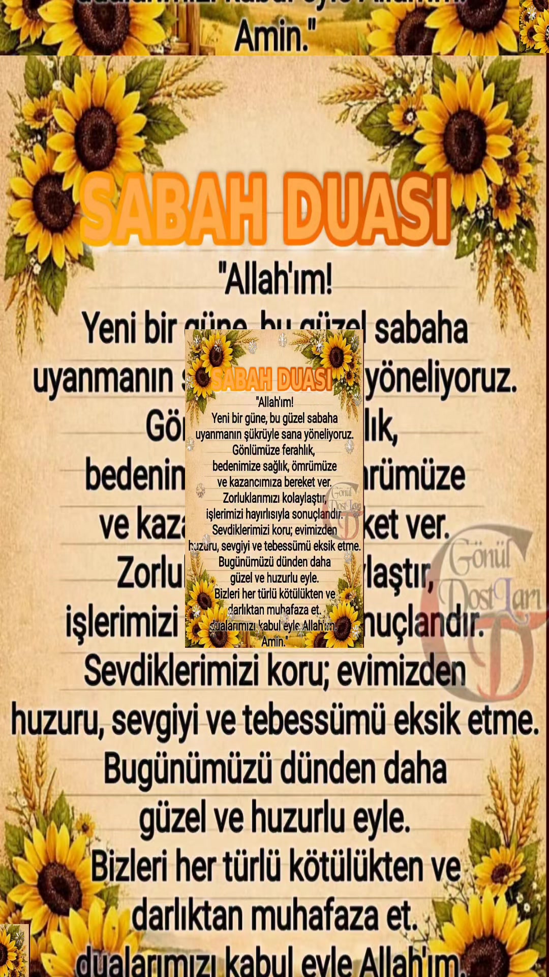@Tennur yılamaz