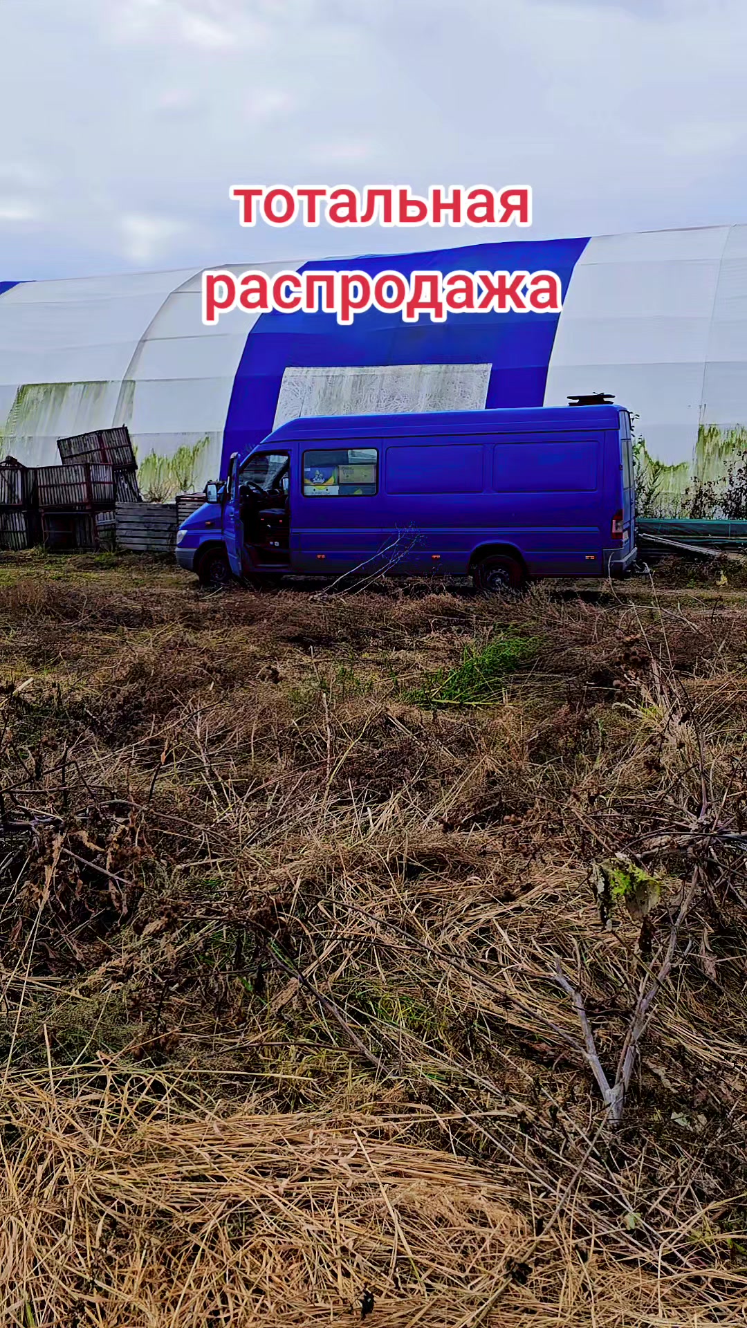 @виталя фартовый