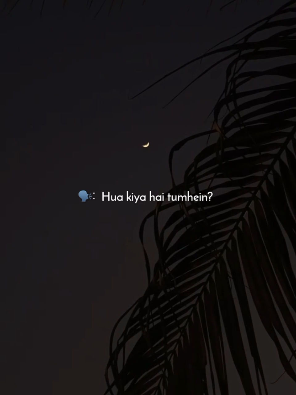 @𝙄 𝙕 𝙕 𝘼 𝙃 🕊️&bull;