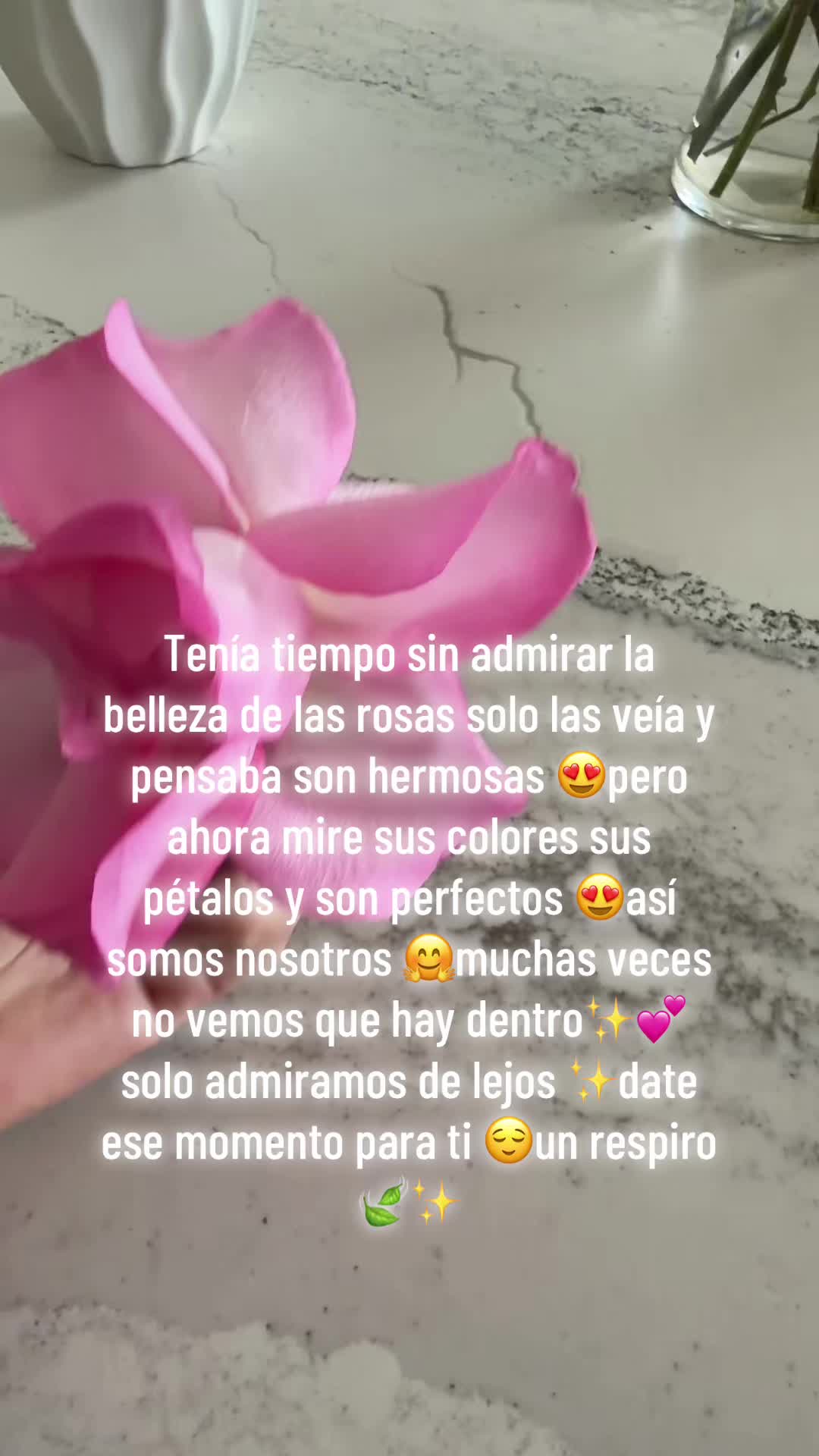 @.sandrarosas0