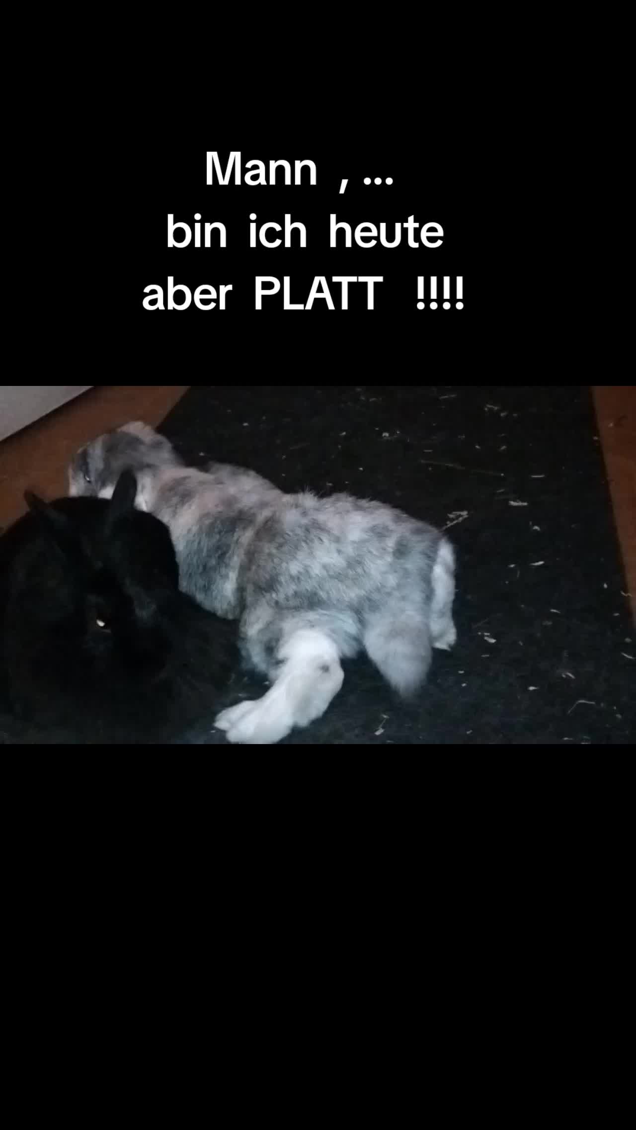 @StefanX.