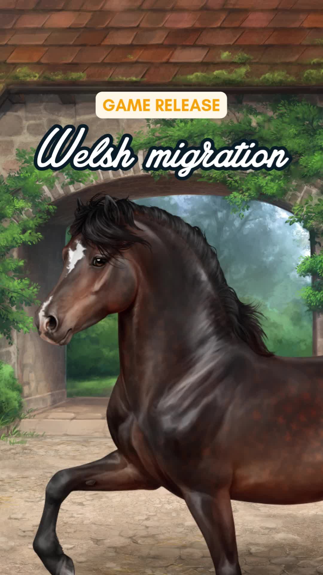 @Horse Reality
