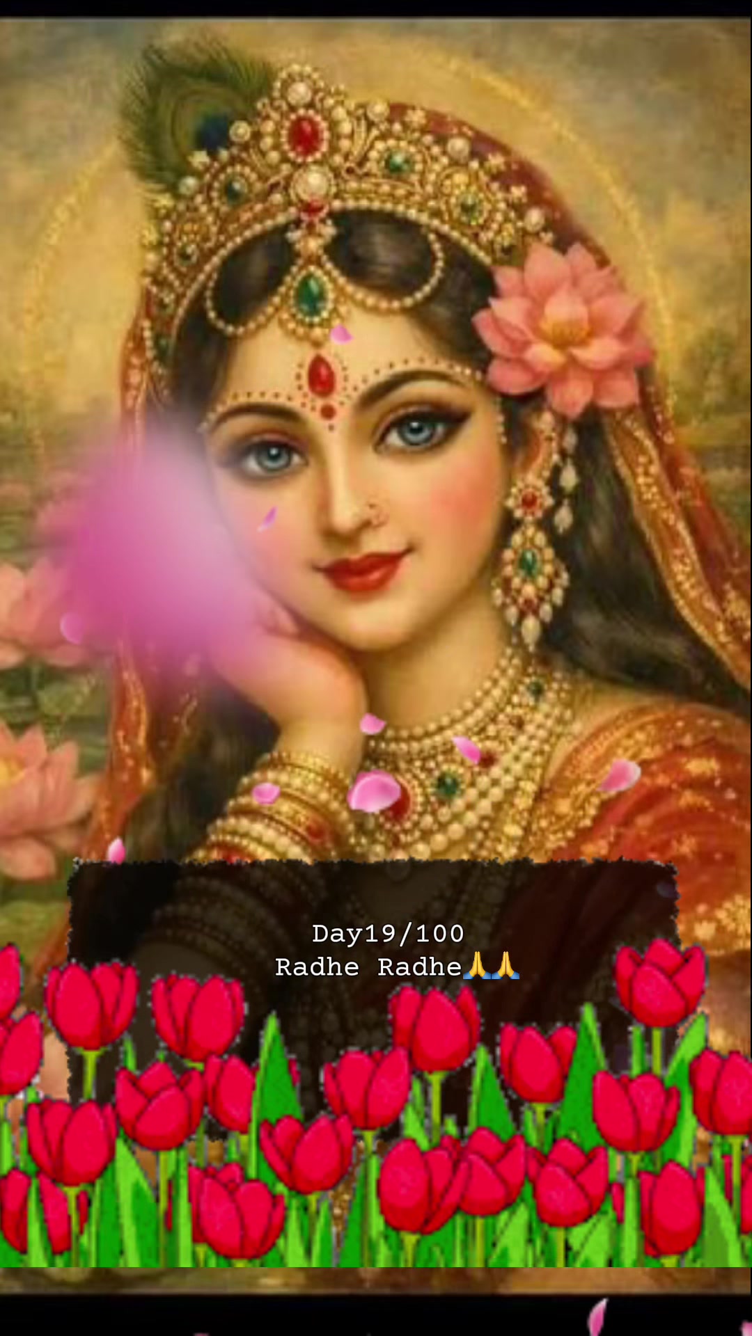 @RadheKrishna🦚🦚🙏🙏