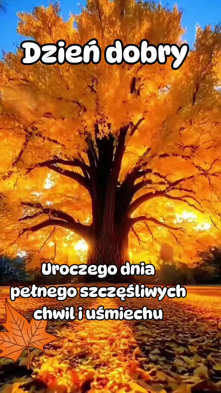 @Ambra@