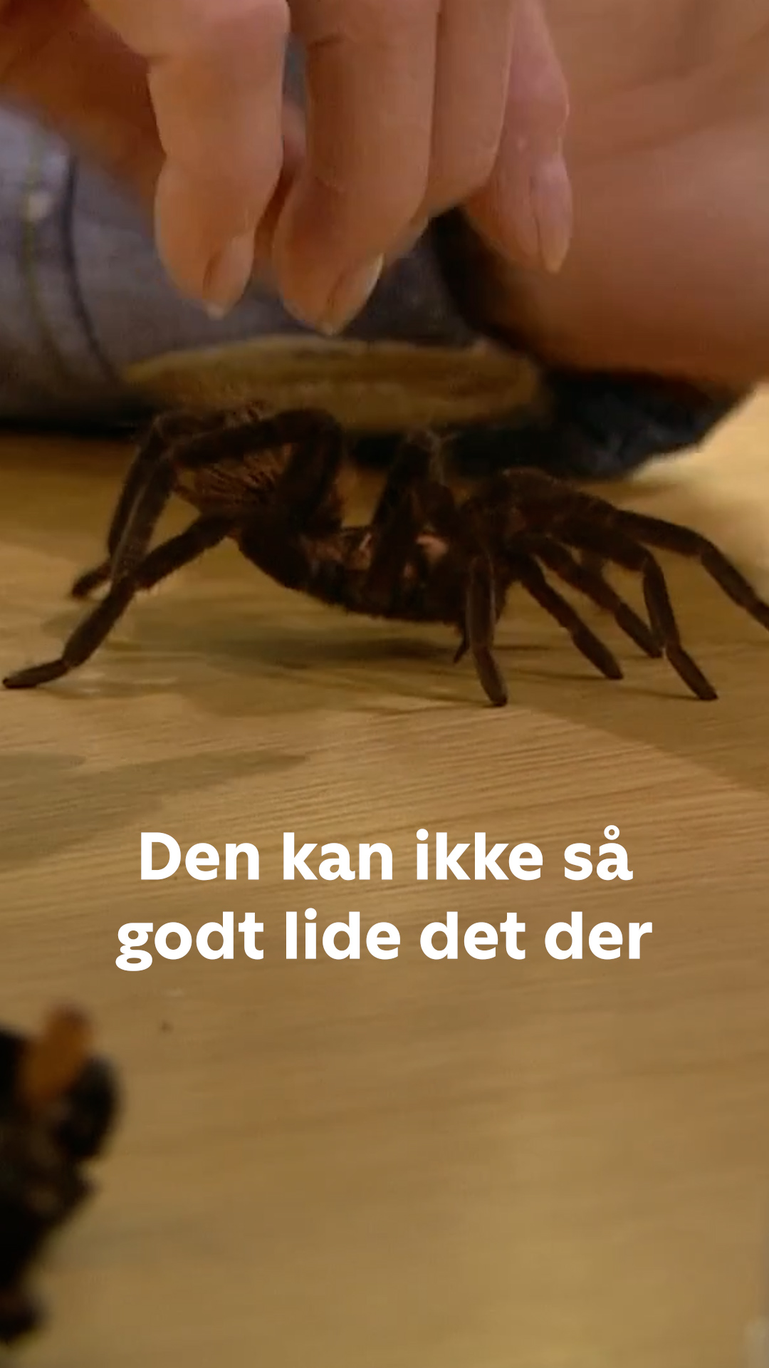 @Go’ morgen Danmark official