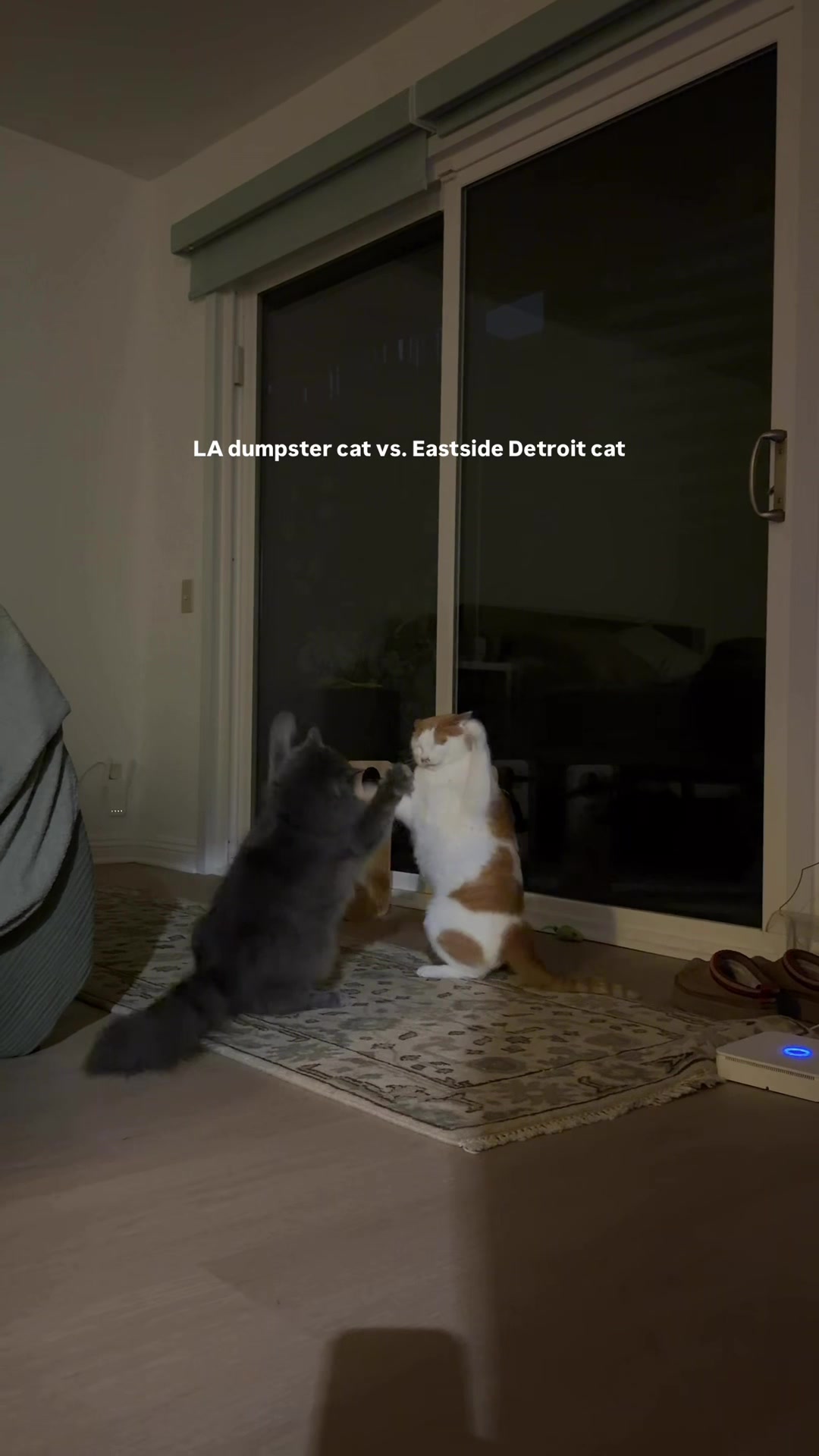 @lokub
