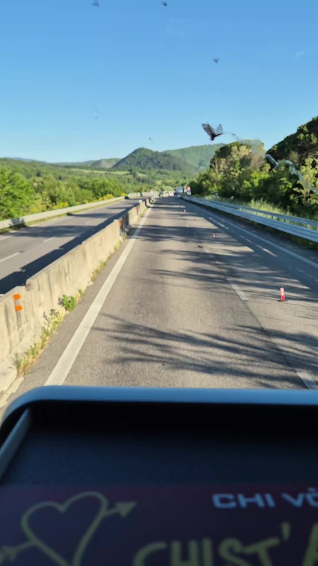@Giuseppe Di Palma
