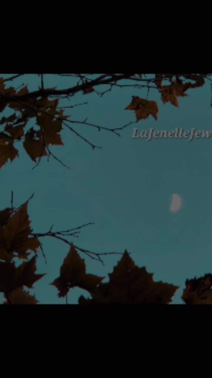 @LaJenelleJewels