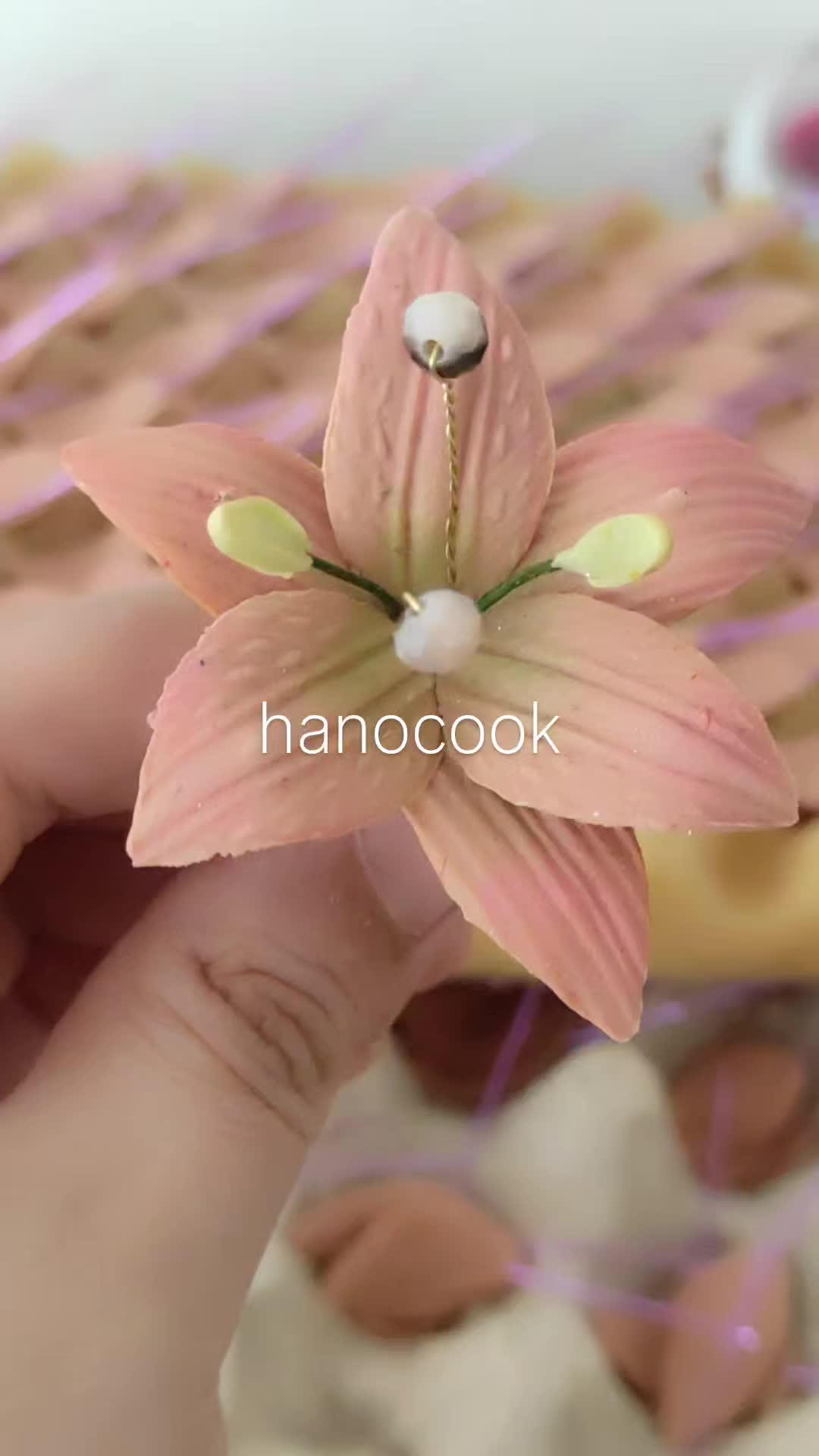 @hanocook