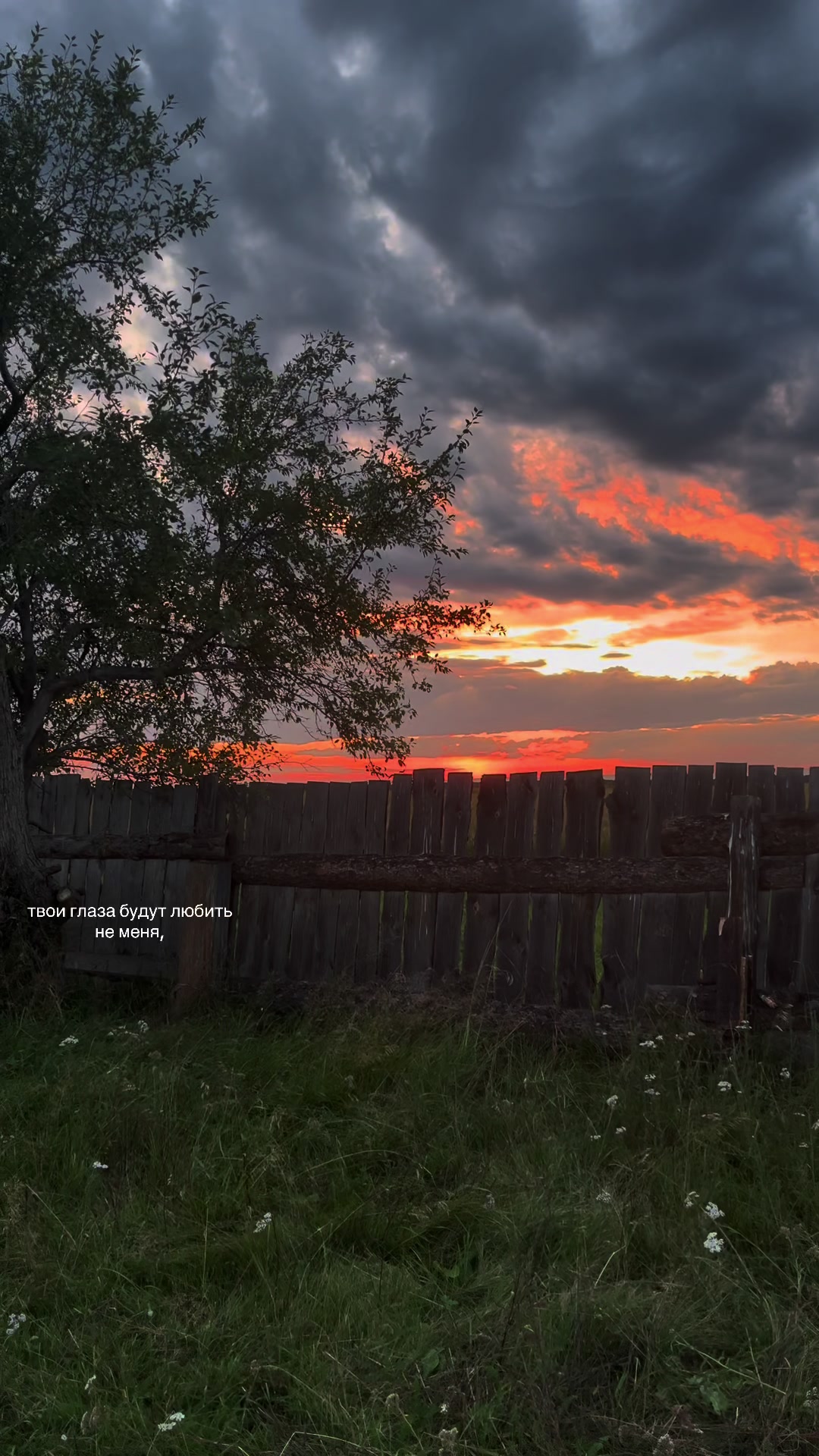 @ночные терзания