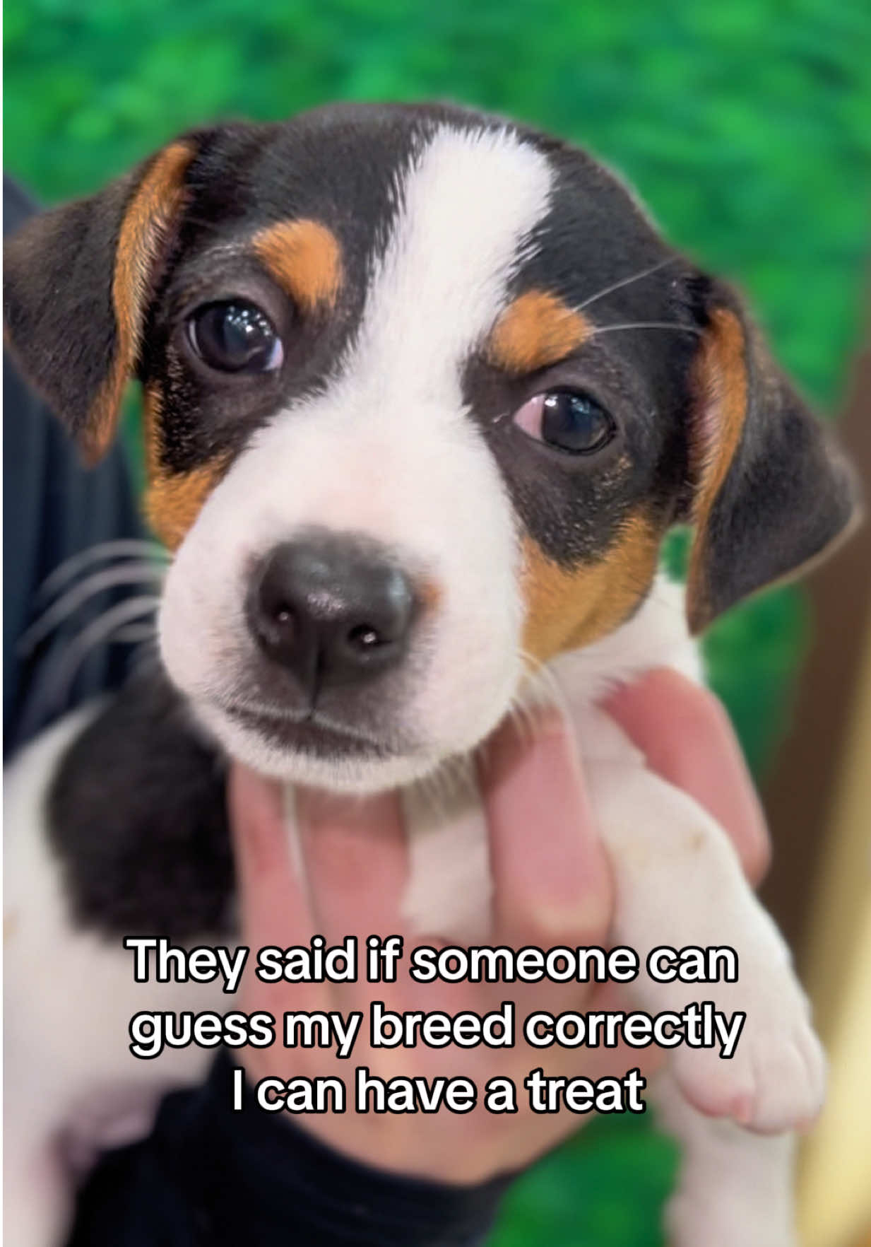 @Petland Oklahoma City