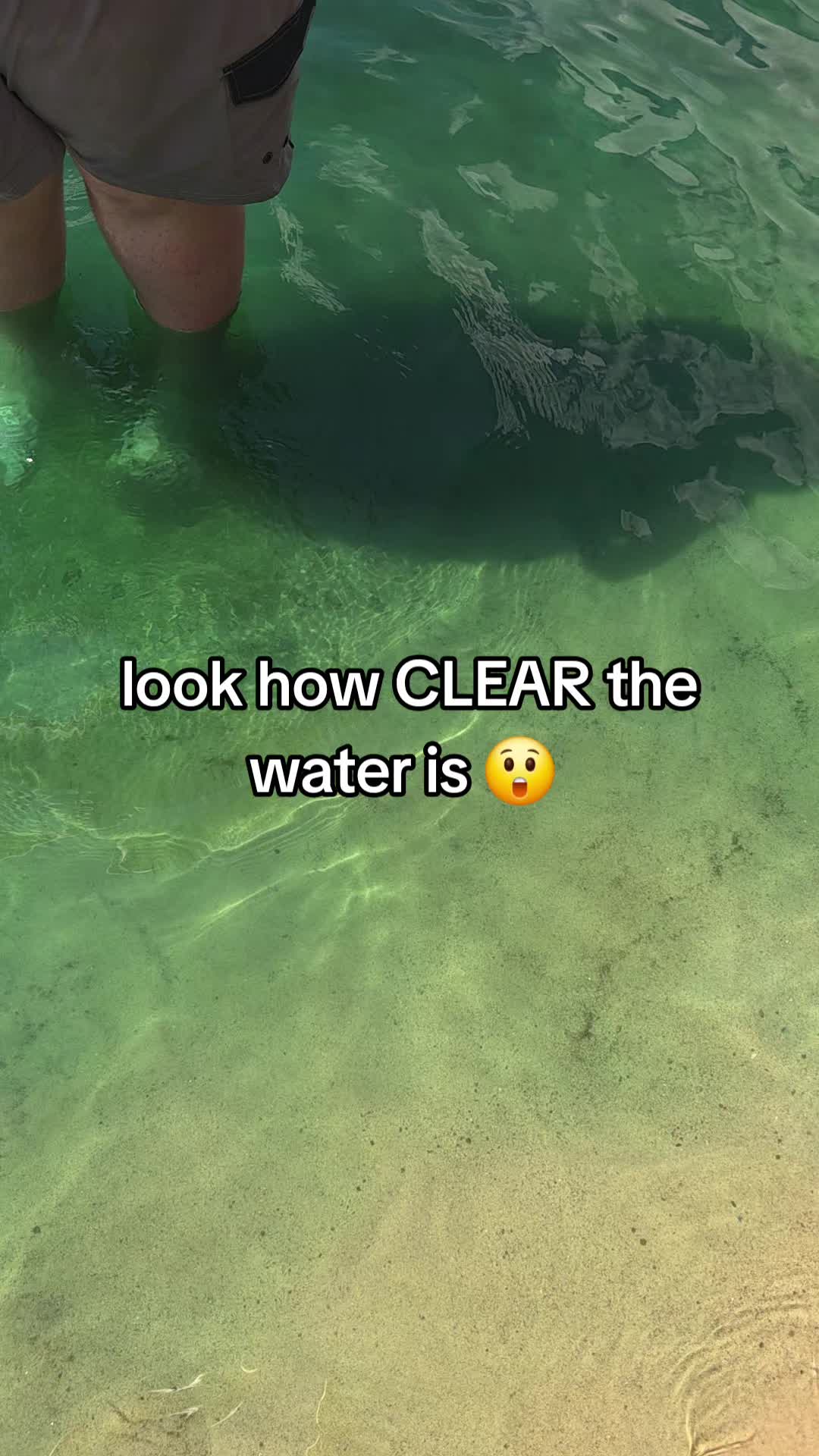 @Cindy🐈