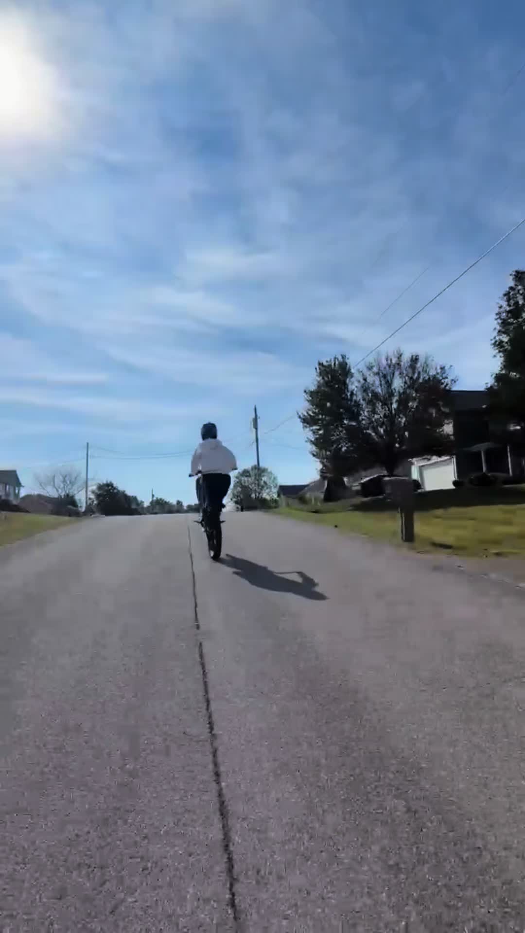 @altis. aiden