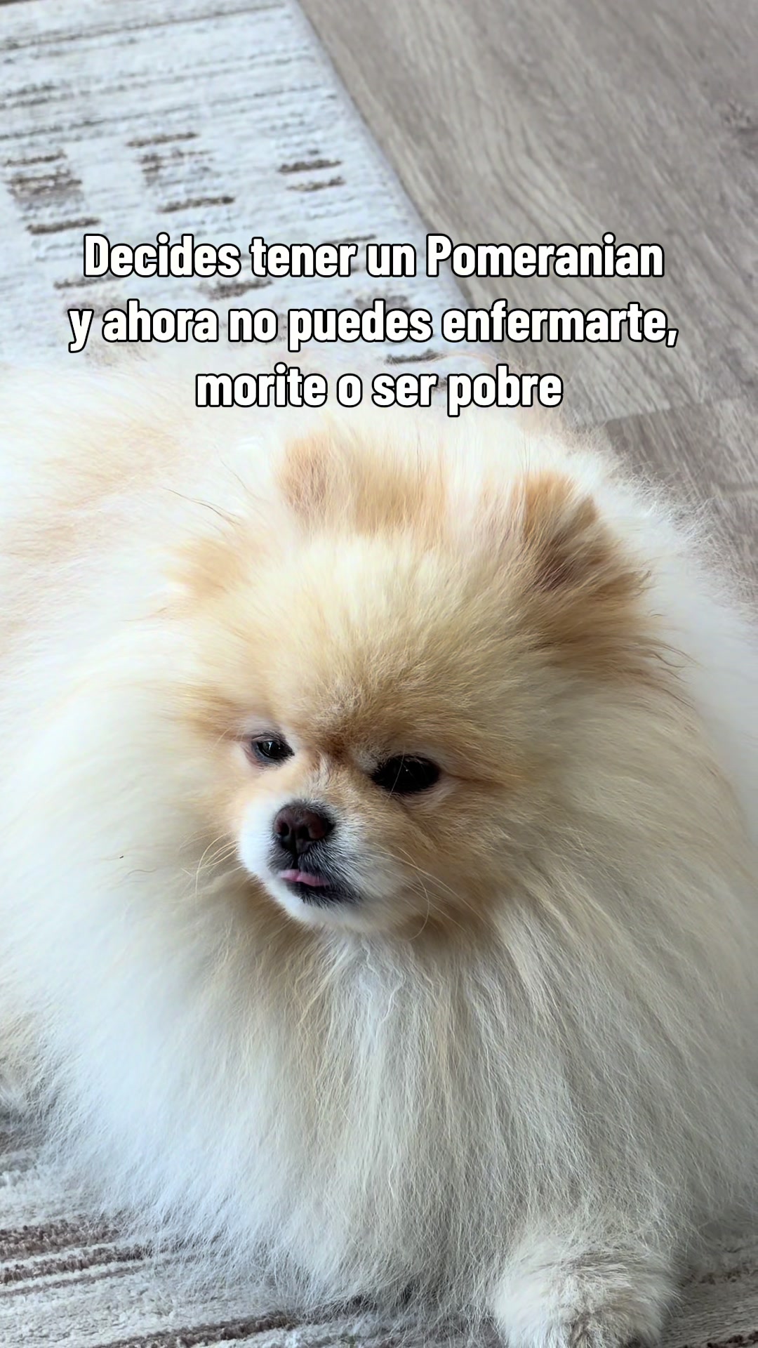 @Melivoraa