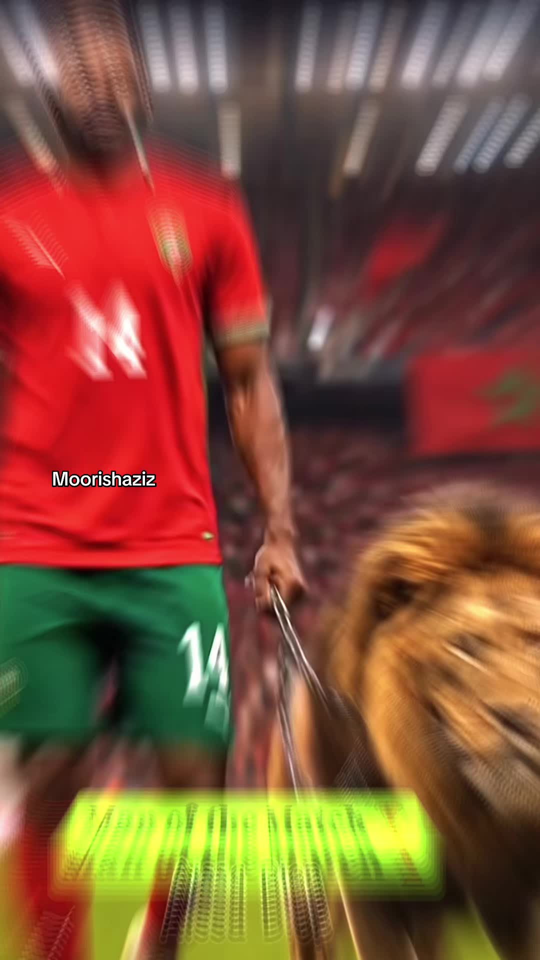 @Moorishaziz 🇲🇦🇺🇸🇨🇭🇨🇭
