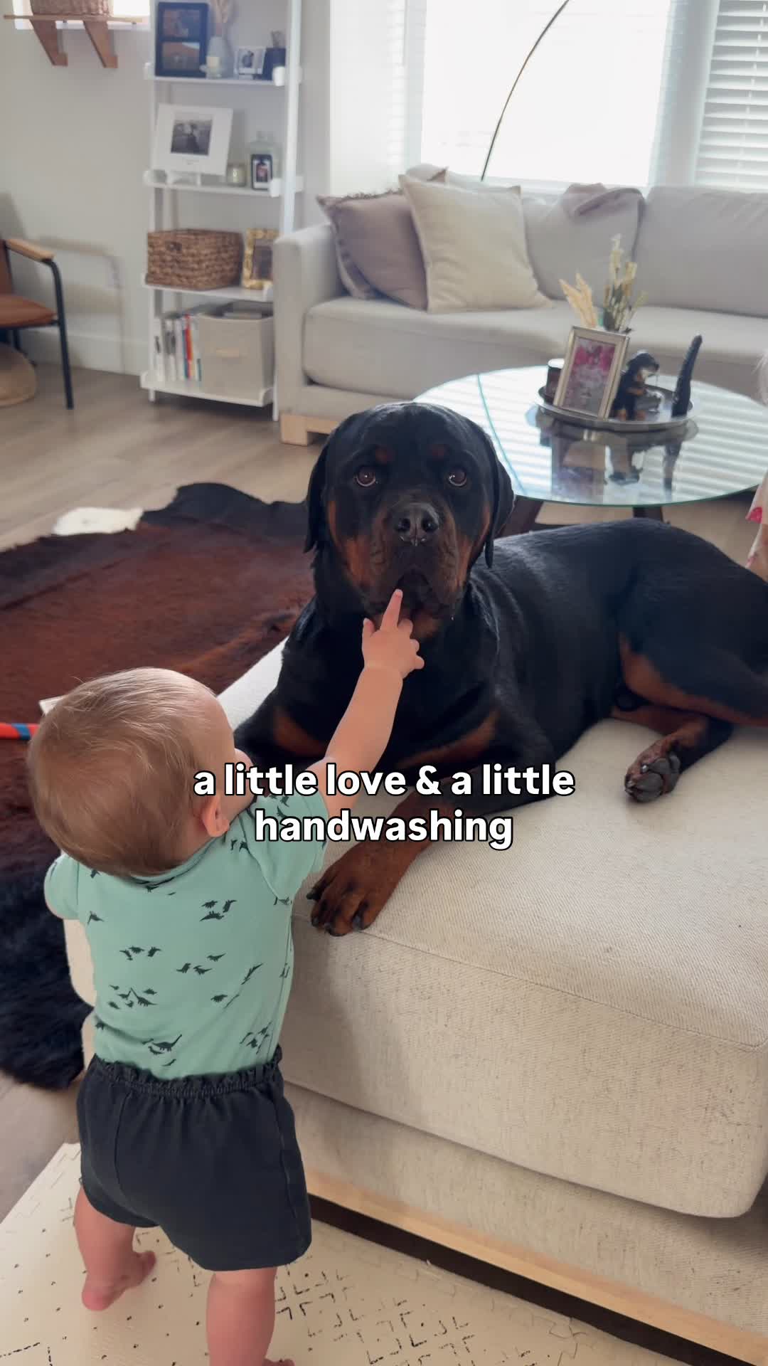 @Rex the Rottweiler
