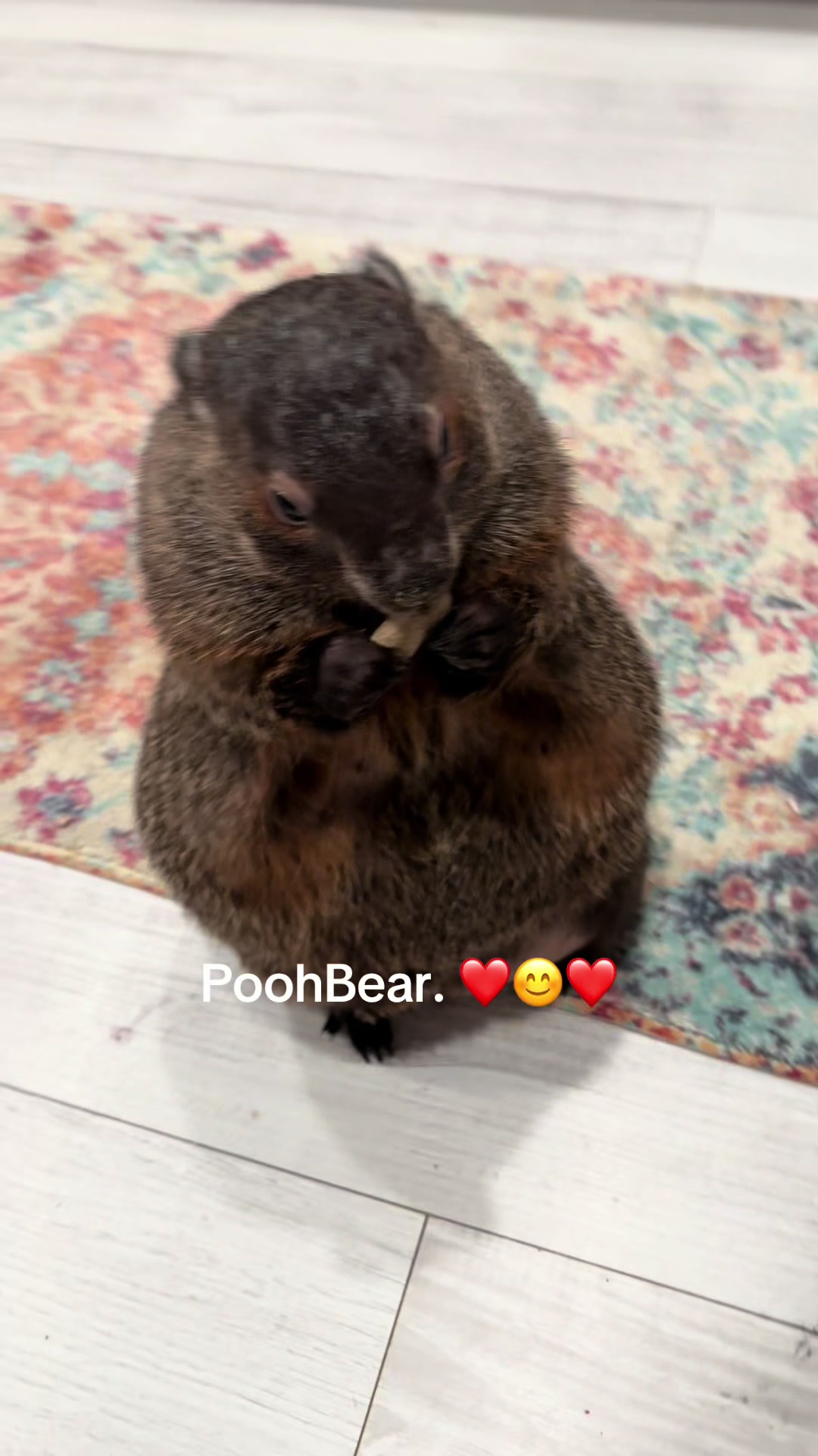 @Wilbur the Woodchuck
