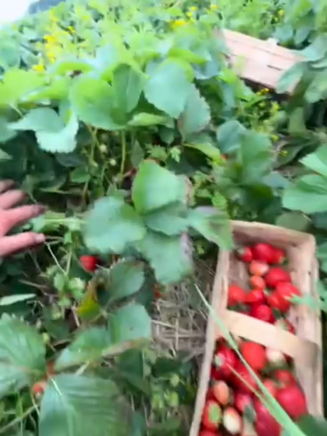 @Світлана