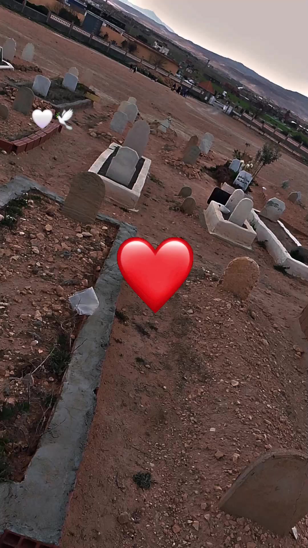 @DoUuNiaa_🎀