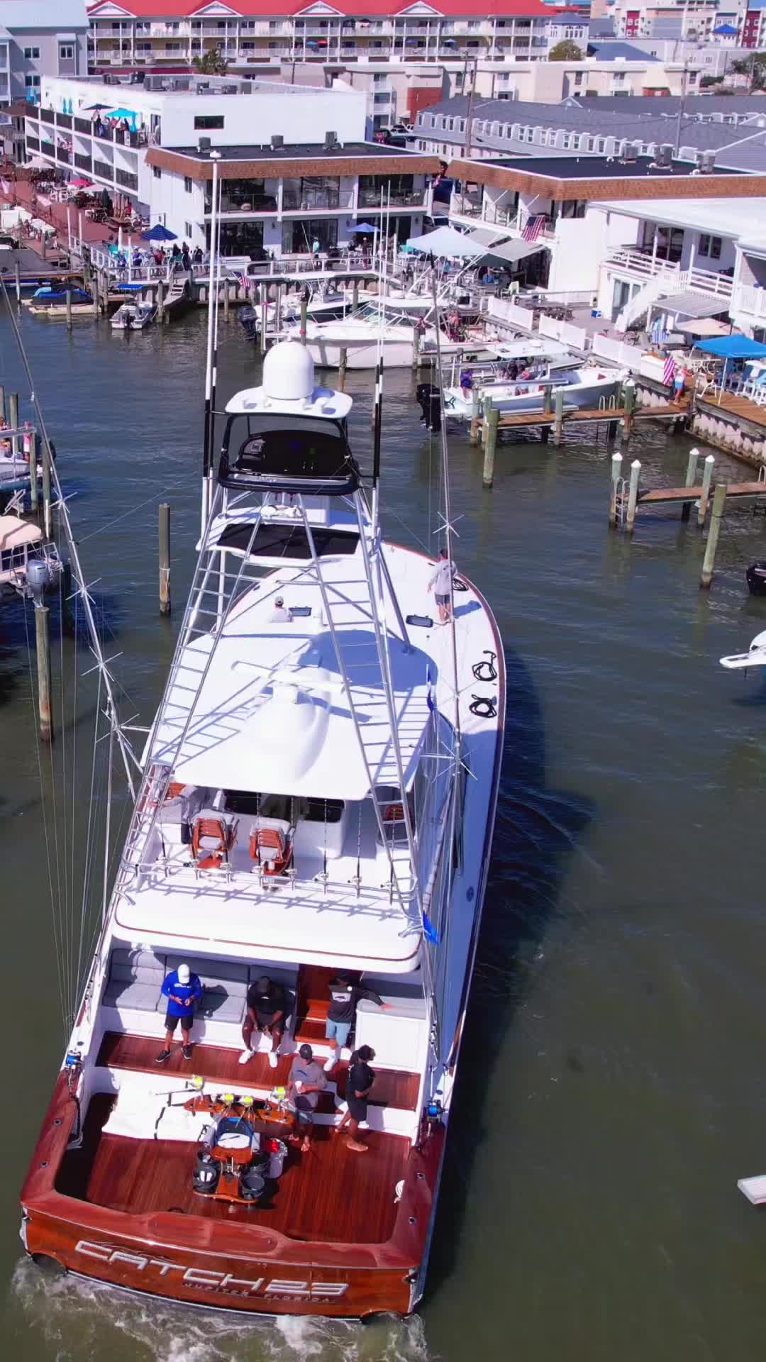 @DAILY SPORTFISH